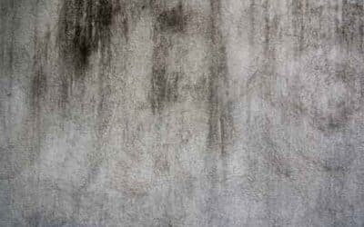 The Benefits Of Professional Decorative Concrete Services In Adelaide